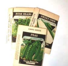 VINTAGE 3 SEED BOXES FROM THE CARD SEED CO. FREDONIA,N.Y.