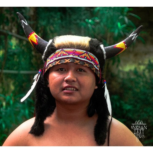 Warbonnet Native American Cow Horns 