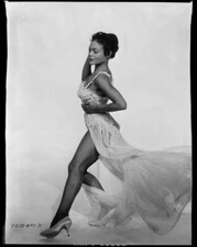 Eartha Kitt Breathtaking Leggy Glamour Pose Original 8x10 Negative India Ink