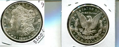 1880 S MORGAN SILVER DOLLAR CH BU 8200Q