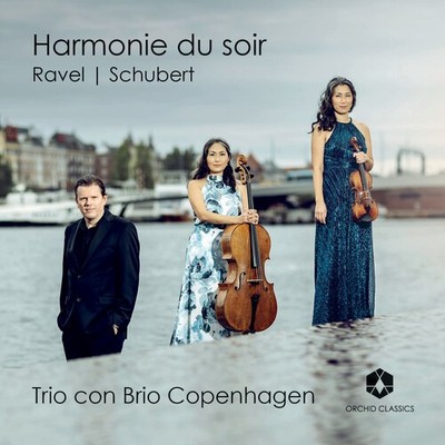 Trio con Brio Copenhagen - Ravel & Schubert [Used Very Good CD]