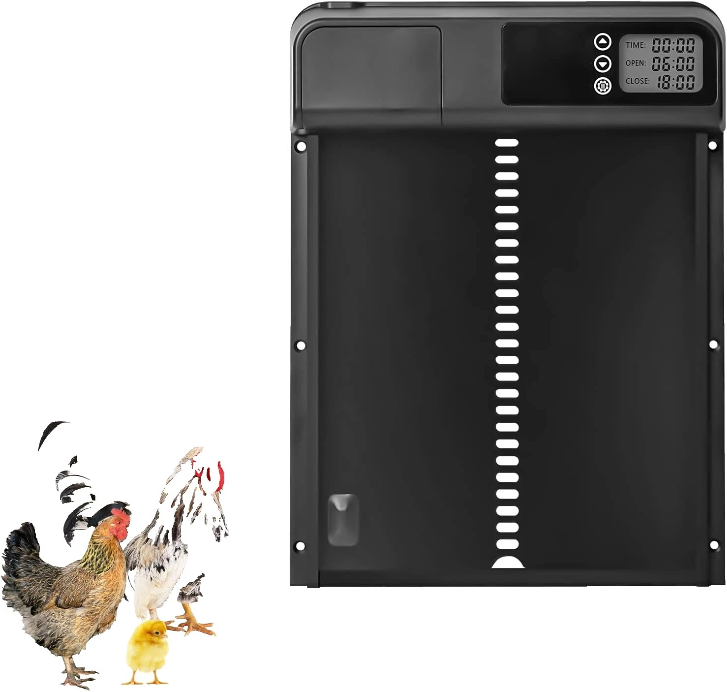 Run Backyard Poultry Supplies