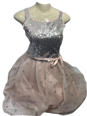 pink and silver sequin dress