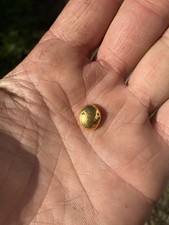 24k Gold Ingot 5.7 Grams 995 5565.89 per troy oz