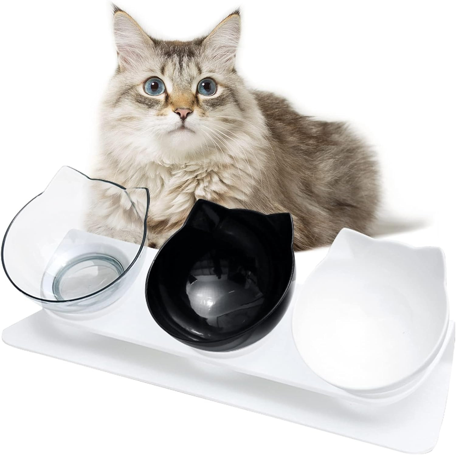 Ciotola Gatto Rialzata Anti-vomito - Benessere e Amore in ogni Pasto