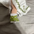 Picture 5 of 5