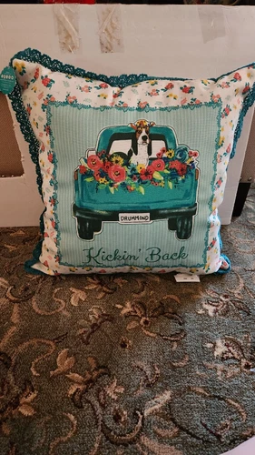 Brand New Pioneer Woman Decorative Outdoor Kickin Back Pillow!