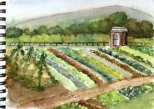 21 Variety Pack Non GMO Heirloom Vegetable Seeds Survival Garden Open Pollinated