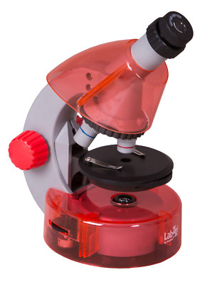 Levenhuk LabZZ M101 Mikroskop orange - Wissenschaft Einführungsset für Kinder