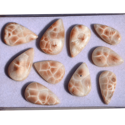 Lot 10 Pcs Natural Thompsonite AAA Quality 18.5mm-22.6mm Pear Cabochon Gemstones - Picture 8 of 13