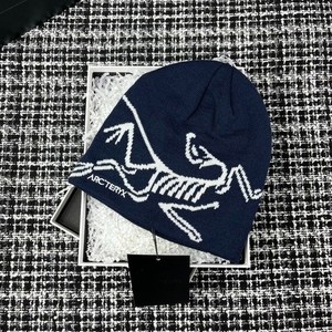 Arc`teryx Beanie Blue | eBay display picture 1
