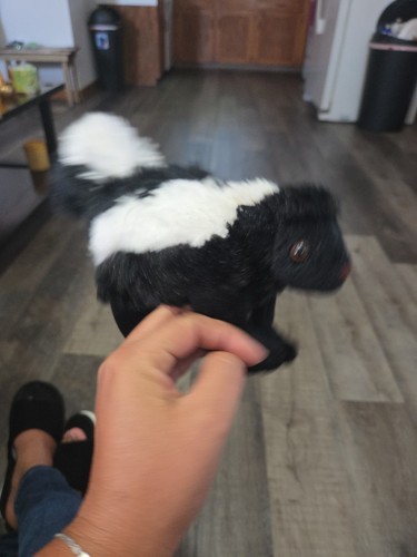 Skunk Bass Pro Shop Peluche Juguete Suave Artistas de Vida Silvestre - Imagen 3 de 4