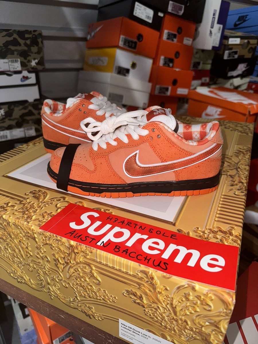 Nike SB Dunk Concepts Orange Lobster SPECIAL BOX Size FD8776-800