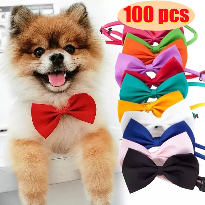 Dog grooming 2025 bow ties