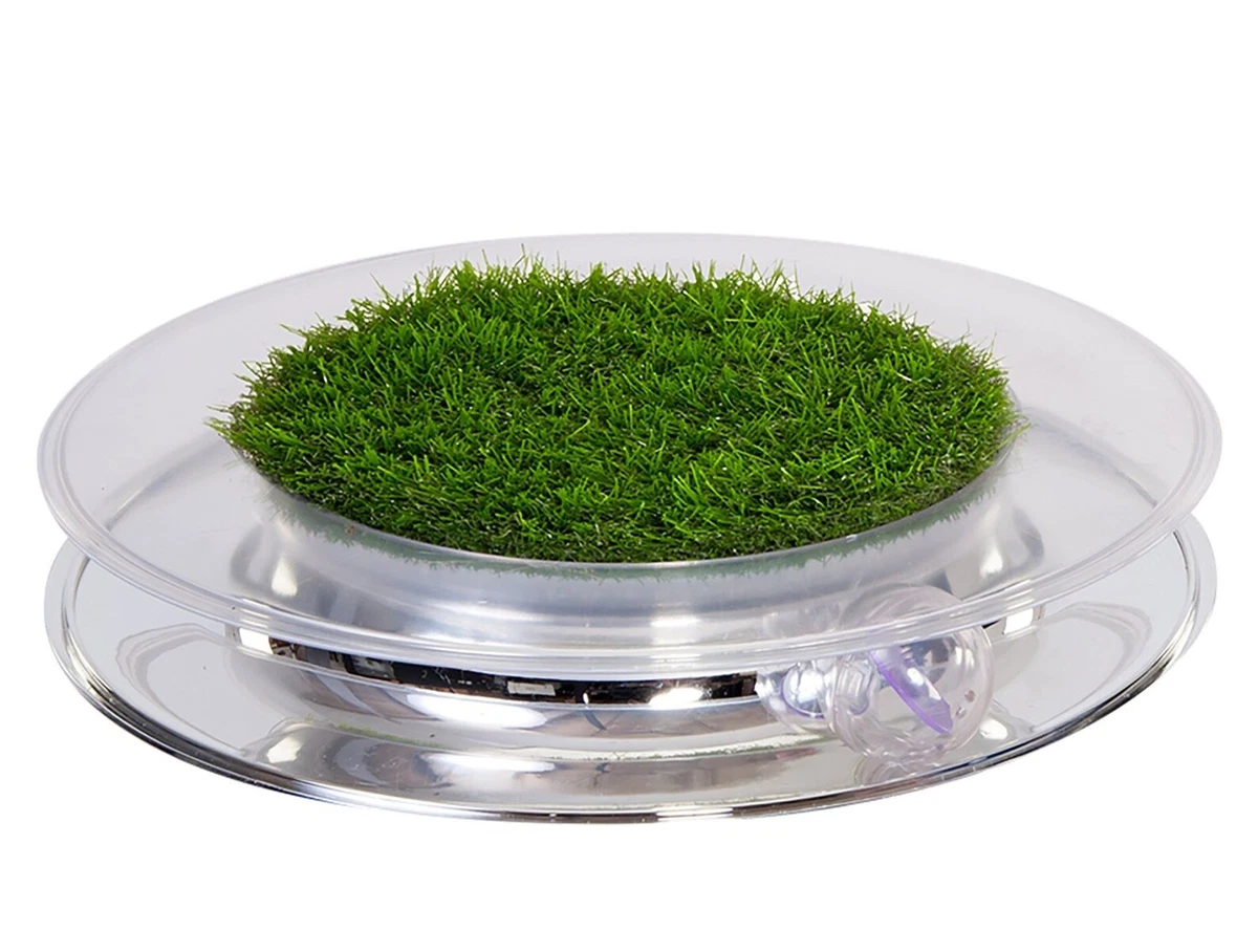 Petstages 2025 spinning balls