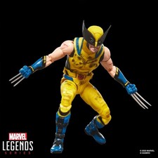 Marvel Legends Series Deadpool  Wolverine Wolverine