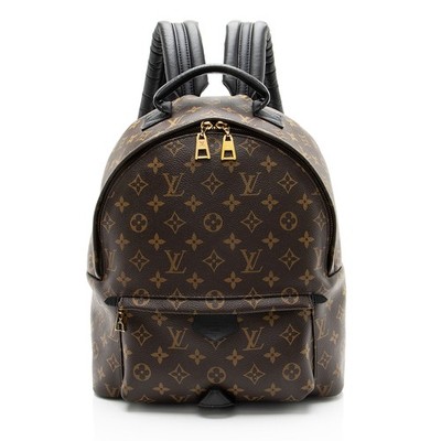 Louis Vuitton Monogram Canvas Palm Springs MM Backpack