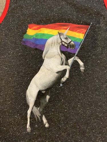 Well Worn White Unicorn Rainbow PRIDE FLAG LBGTQ Graphic Tank Top Los Angeles S