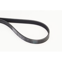 Keilrippenriemen Continental Ctam 6PK1173 FüR Bmw CitroëN Honda Nissan Peugeot