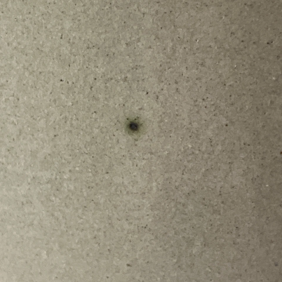 Винтажный Red Wing Ограниченный Выпуск Quaker Oh Oats Crock St Joseph Missouri 1996 - Изображение 3 из 4