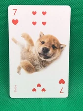 Shiba Heart 7 THE DOG Playing card  Artlist Collection Japan