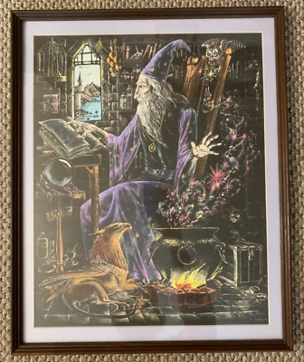 Rare Vintage 1981 M Pena Wizard Color Poster Art Print Framed