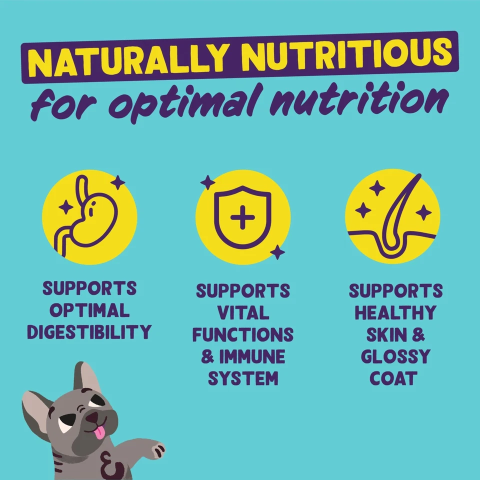 Edgard & Cooper Hundefutter Trockenfutter für Hunde Lachs 1kg Hundefutter tro... - Bild 4 von 4