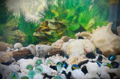 Glass crystal, multi color, Aquarium deco,10 Nos, Free shipping from