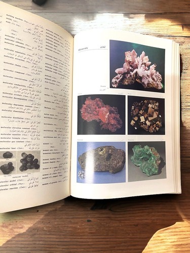 Scientific & Technical E-A Dictionary معجم المصطلحات العلمية والفنية والهندسية - Picture 13 of 24