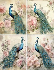 8 Peacocks Vintage 8 glossy blank note cards with envelopes and organza bag