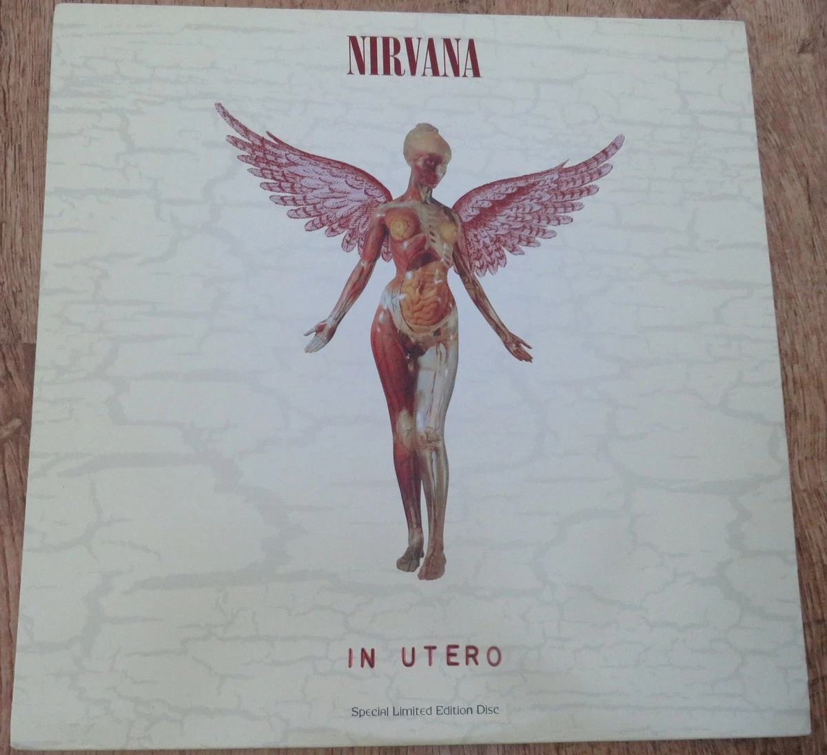 Nirvana Indiana Utero Indiana Vinyl Records for sale - eBay