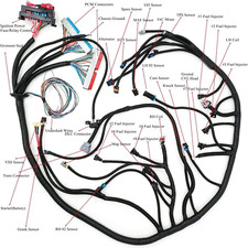 LS Wiring Harness Drive by Cable 5.3, ls Stand Alone Wiring Harness 4L60E DBC,fo