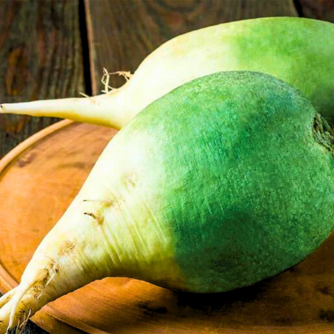 Fresh Premium Wasabi Radish Seeds | Heirloom Non-GMO | Asian Vegetable Seeds  | eBay