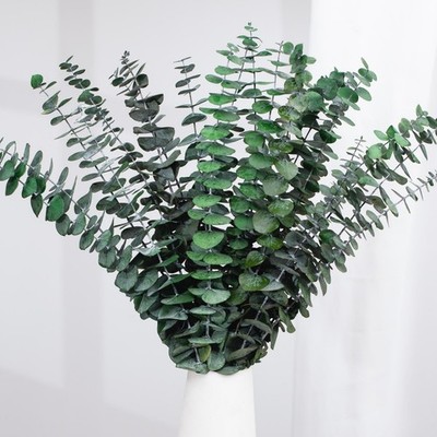 16 Pcs Dried Eucalyptus Stems, 17'' Natural Fresh Eucalyptus Leaves Branches ...