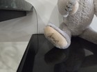 STEIFF Teddybear 1983 SIGNED w/ Ear Button 0150/32  Growler — photo 3