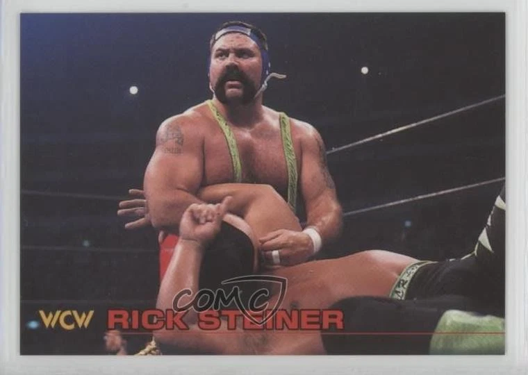 1998 Bandai New Japan Pro Wrestling - Rick Steiner #82 | eBay