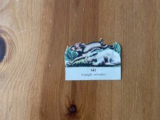 FIGURINA PER L'ALBUM "L'ALUNNO COSTRUTTORE" N°141 CONIGLI SELVATICI