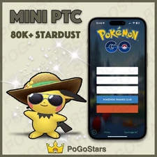 Pokémon PTC GO - Shiny Pichu Summer Flair - 80K Stardust✨Read Description✨