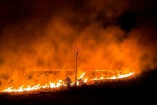 AMAZON RAIN FOREST FIRE GLOSSY POSTER PICTURE PHOTO BANNER brazil wildfire 5569