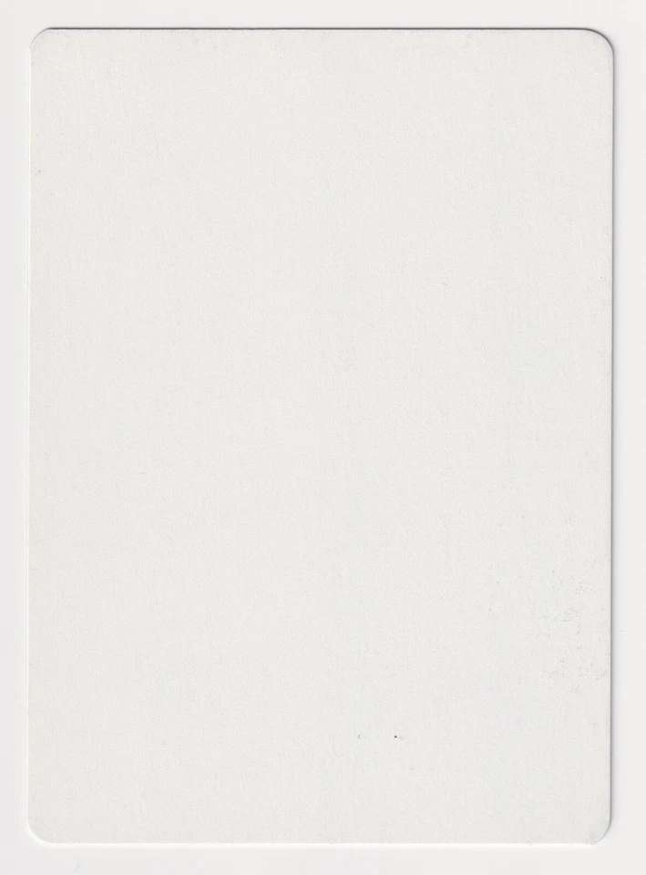 Signed Portuguese Maddening Wind Proof LP Ice Age Artist Dameon Willich MTG AP! - Image 2 of 2