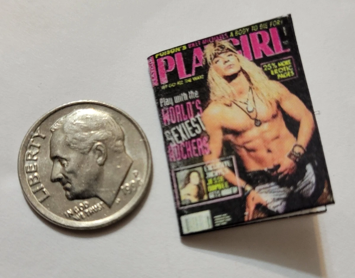 Michaels on sale dollhouse miniatures