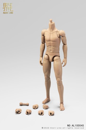 1/6 flexible männliche Actionfigur Puppenkörper passt 12 Zoll Soldat Kopf Skulptur Modell Spielzeug