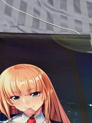 C105 Comiket Taimanin RPG Koukawa Asuka Tapestry Suede Size B2 Lilith