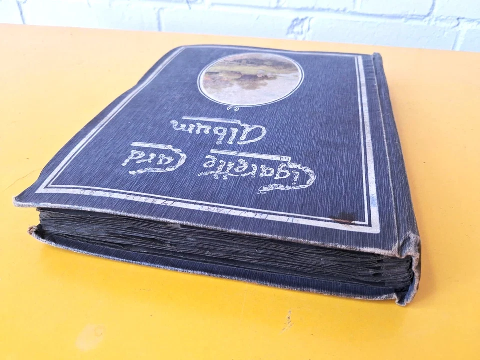 Early 20th Century cigarette card album excellent condition - Image 4 of 4