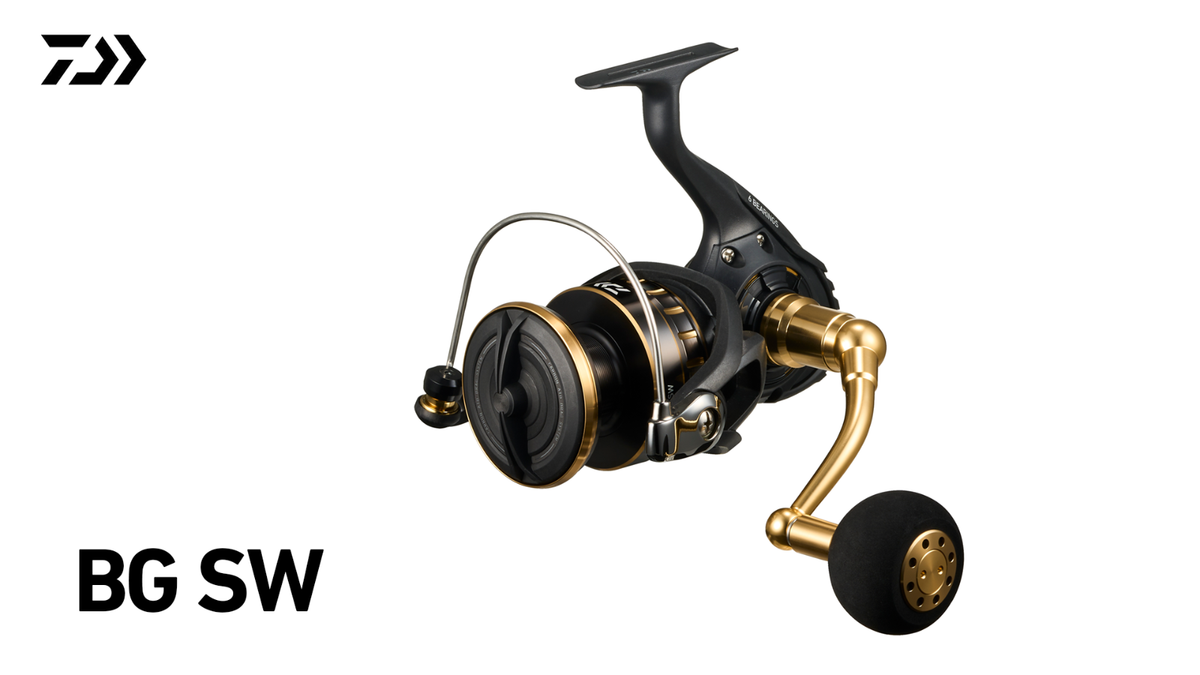 Daiwa 23 BG SW 4000D-CXH Spinning Reel Free shipping from JAPAN | eBay