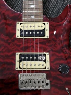 【PRS】SECUSTOM 24 QM LTD CUSTOM QM LTD Prs Secustom 24 Qm Ltd Custom | eBay