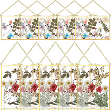 10 Pieces Pressed Flower Glass Picture Frames 5 X 7 Inch Brass Clear Horizontal