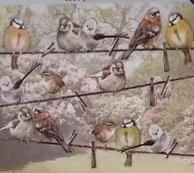 Birds Of A Feather Jigsaw Puzzle - 1,000 Pieces | Garden Scene Puzzle, Finished Size 50 X 75cm