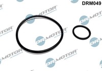 1X Dr.Motor Automotive DRM049 Dichtungssatz Unterdruckpumpe FüR Peugeot