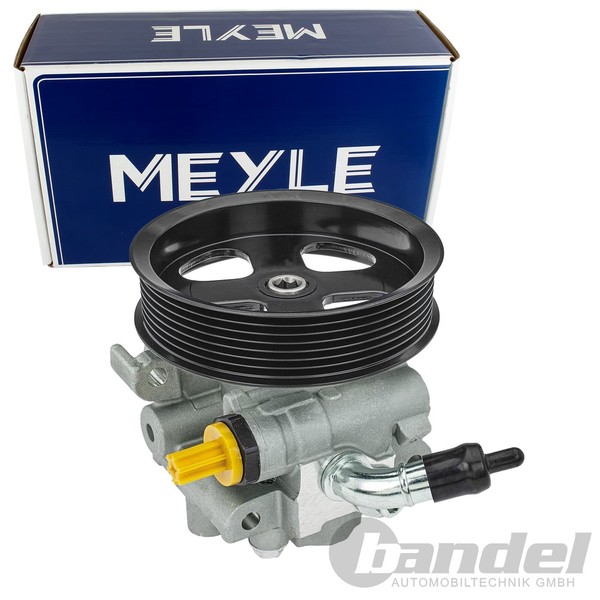 Meyle Servopumpe Hydraulikpumpe Passend FüR Land Rover Defender Freelander |-image